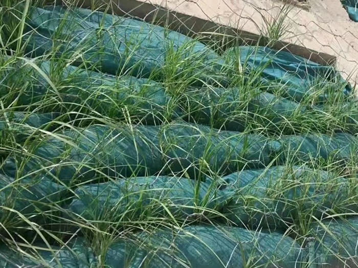 古冶生态袋/植生袋